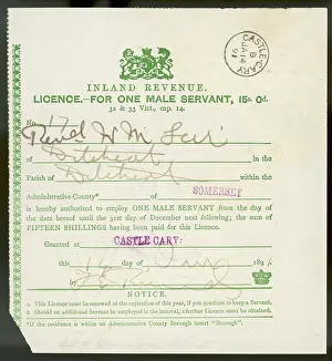 Licence: LICENCE FOR SERVANT