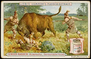 Liebig: LIEBIG AUROCHS