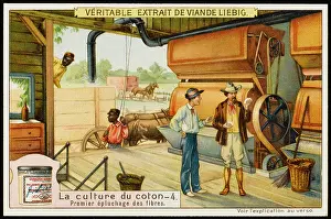 Fibres: Liebig - Cotton Industry