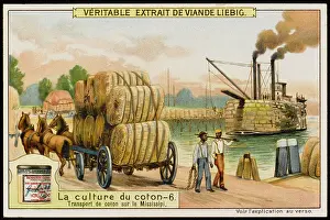 Liebig: Liebig - Cotton Industry