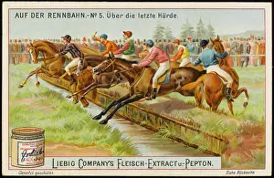 Liebig: LIEBIG HORSE RACING 5