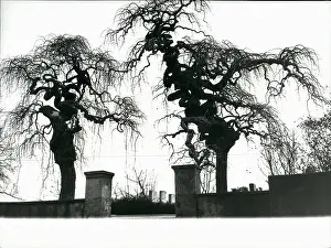 Normally: Liechtenstein - Switzerland
