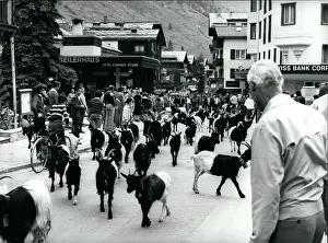 Zermatt: Liechtenstein - Switzerland