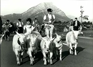 Cloths: Liechtenstein - Switzerland