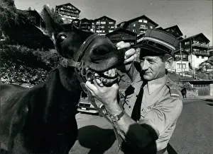 Inspected: Liechtenstein - Switzerland