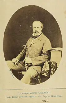 Remount: Lieutenant-Colonel Apperley