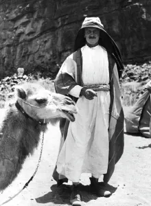 Hejaz: Lieutenant Colonel S.F. Newcombe