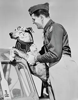 Loyalty: Lieutenant lifting his Great Dane into a plane, circa 1942