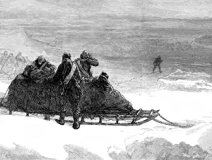 Scurvy: Lieutenant Parr sets out to find help, Northern Sledge