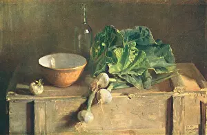 Lettuces: Still Life