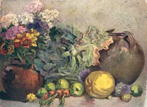 Multicoloured: Still Life