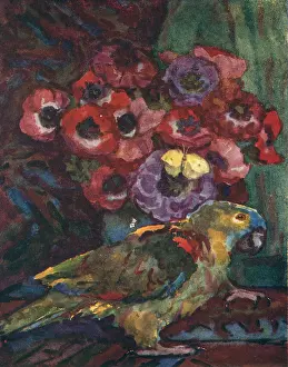 Nevil: Still Life