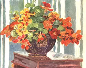 Tightly: Still Life