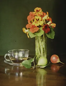 Lumiere: Still life