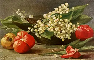 Tomatoes: Still Life