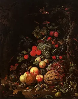 Profusion: Still Life