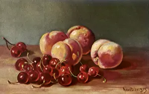 Cherries: Still Life