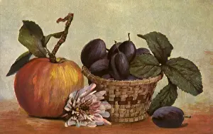 Plums: Still Life Apple, Plums
