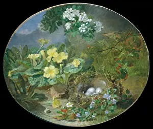 Stannard: Still Life with Bird's Nest and Spring Flowers