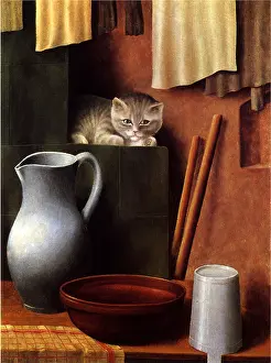 Motionless: Still Life with Cat