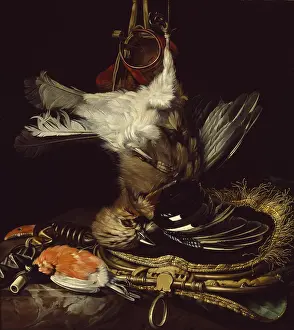 Jays: Still Life with a dead Jay
