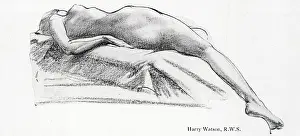 Winsor: Life Drawing