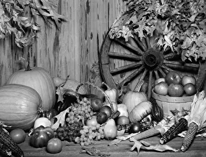 Husk: Still Life Of Fall Harvest Fruits