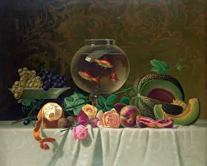 Goldfish: Still life with fish