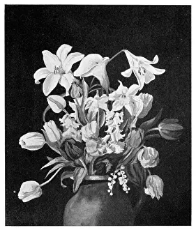 Savory: Still Life Flowers
