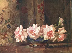 Shallow: Still Life Flowers