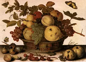 Balthasar: Still Life with Fruit Basket