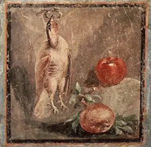 Fowl: Still Life with Fruit and Fowl