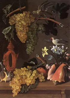 Lifes: Still Life with Grapes