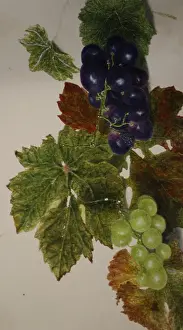 Smyth: Still life of grapes
