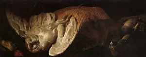 Gryphon: Still Life with Griffon-Vulture