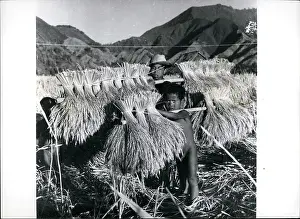 Lombok: Life in Indonesia