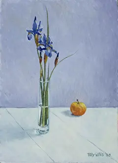 Tilly: Still Life with Irises
