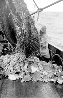Emptying: Life on a North Sea trawler