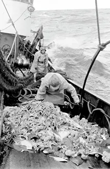 Emptying: Life on a North Sea trawler