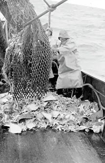 Emptying: Life on a North Sea trawler