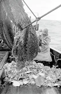Emptying: Life on a North Sea trawler