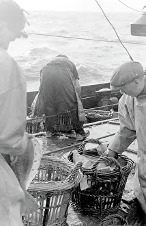 Sorted: Life on a North Sea trawler