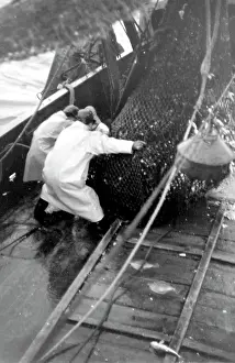 Trawlermen: Life on a North Sea trawler