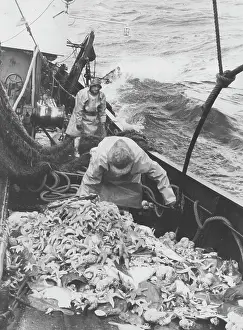 Emptying: Life on a North Sea trawler