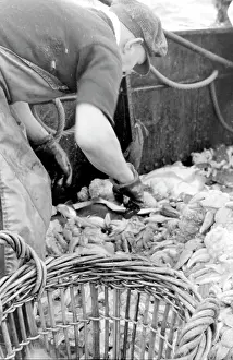 Emptied: Life on a North Sea trawler