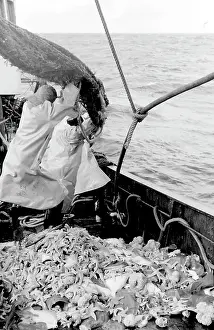 Emptying: Life on a North Sea trawler