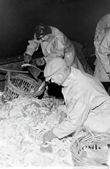 Emptied: Life on a North Sea trawler