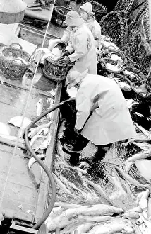 Sorted: Life on a North Sea trawler