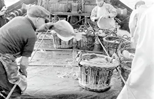 Sorted: Life on a North Sea trawler