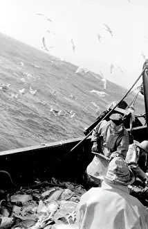 Sorted: Life on a North Sea trawler